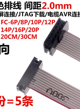 5条 FC-6/10/12/14/16/20P 20cm/30cm 灰色排线 间距2.0mm 连接线
