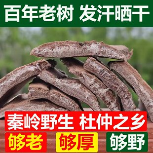 秦岭略阳杜仲皮中药材去粗皮丝绵皮中老年养肝肾筋骨 250g厚皮