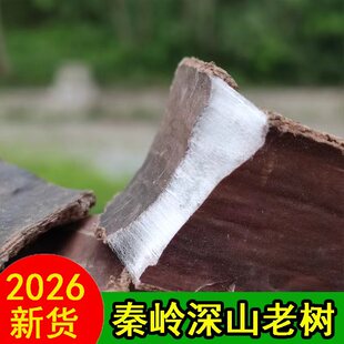 正宗略阳杜仲老树厚皮杜仲中药泡酒料晒干无硫盐炒熟杜仲批发正品