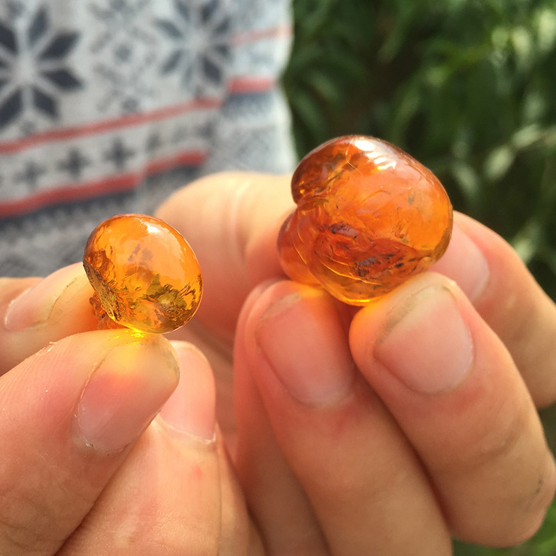 精品桃胶 食用水蜜桃花泪 农家自采老胶干货250g