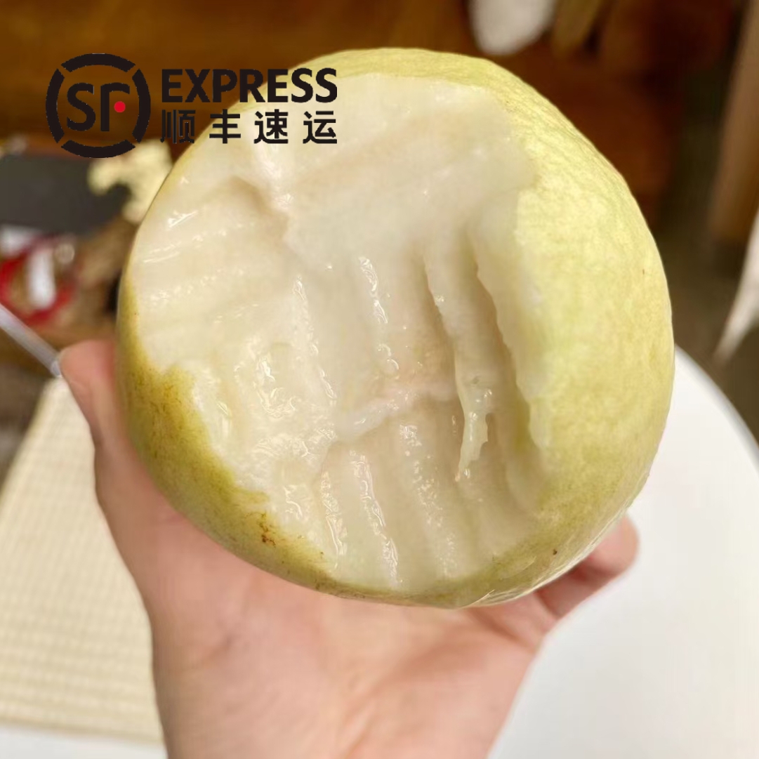 [顺丰包邮]福建软糯奶油芭乐水果漳州当季软白番石榴软心