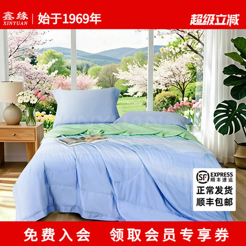 鑫缘天丝可水洗蚕丝被夏凉被子被芯空调被100%桑蚕长丝AEPE0320