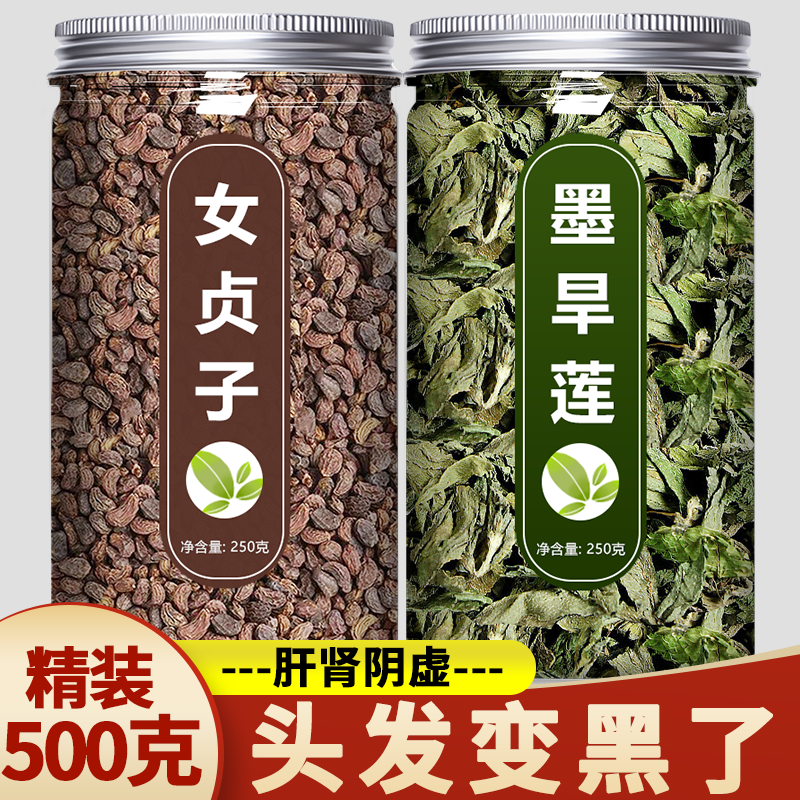 养生茶女贞子旱莲草中药材