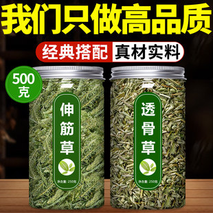伸筋草透骨草泡脚包中药材正品旗舰店野生新鲜小的功效与作用红花