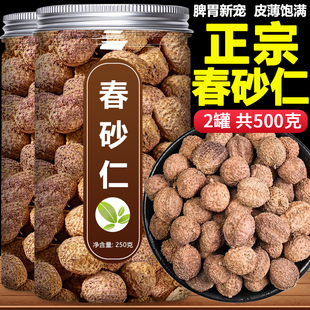 砂仁中药材正宗阳春春砂仁广东特产正品野生毛沙仁根果养胃粉香料