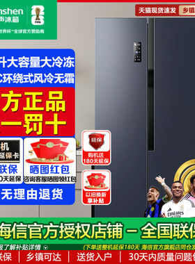 Ronshen/容声 BCD-609WD11HP 对开门冰箱 风冷无霜一级变频等级机