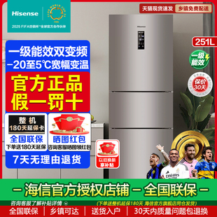 251WYK1DPJ BCD Hisense 海信