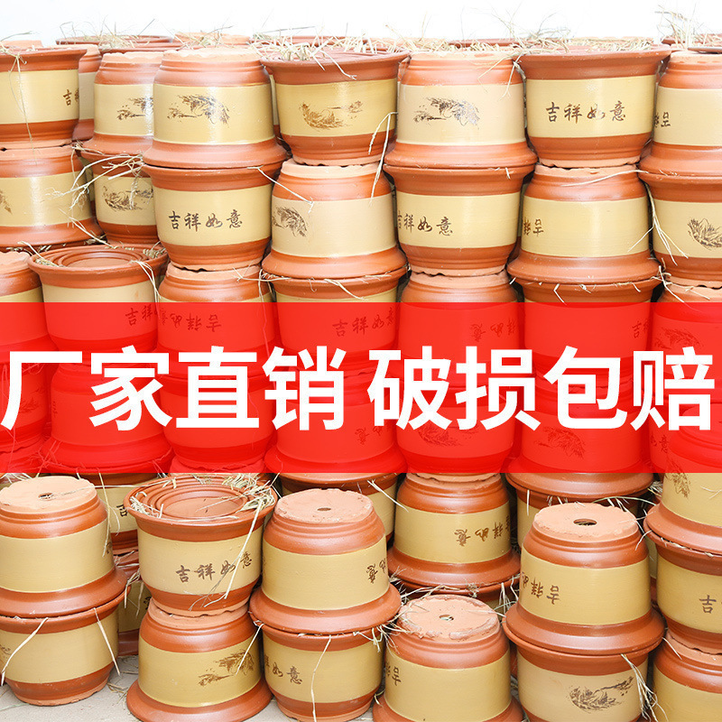腊梅专用红陶花盆陶瓷兰花桂花