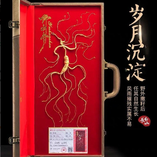 人参长白山人参正宗野生人参野山参礼盒林下参一等品特级泡酒