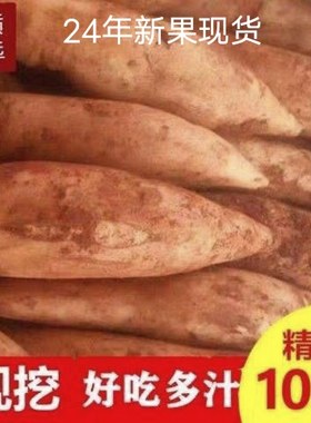 云南特产天山雪莲果红心超甜新鲜10斤一整箱包邮现挖脆甜当季水果