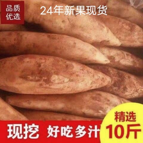 云南特产天山雪莲果红心超甜新鲜10斤一整箱包邮现挖脆甜当季水果