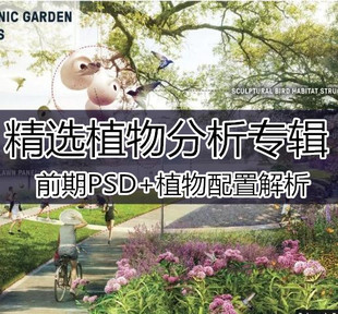 设计前期分析植物分析图PSD+景观设计植物配置解析
