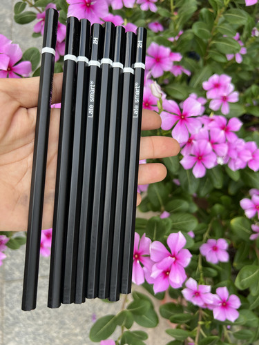 晚聪明订制六角杆椴木HB/2H写字铅笔10支