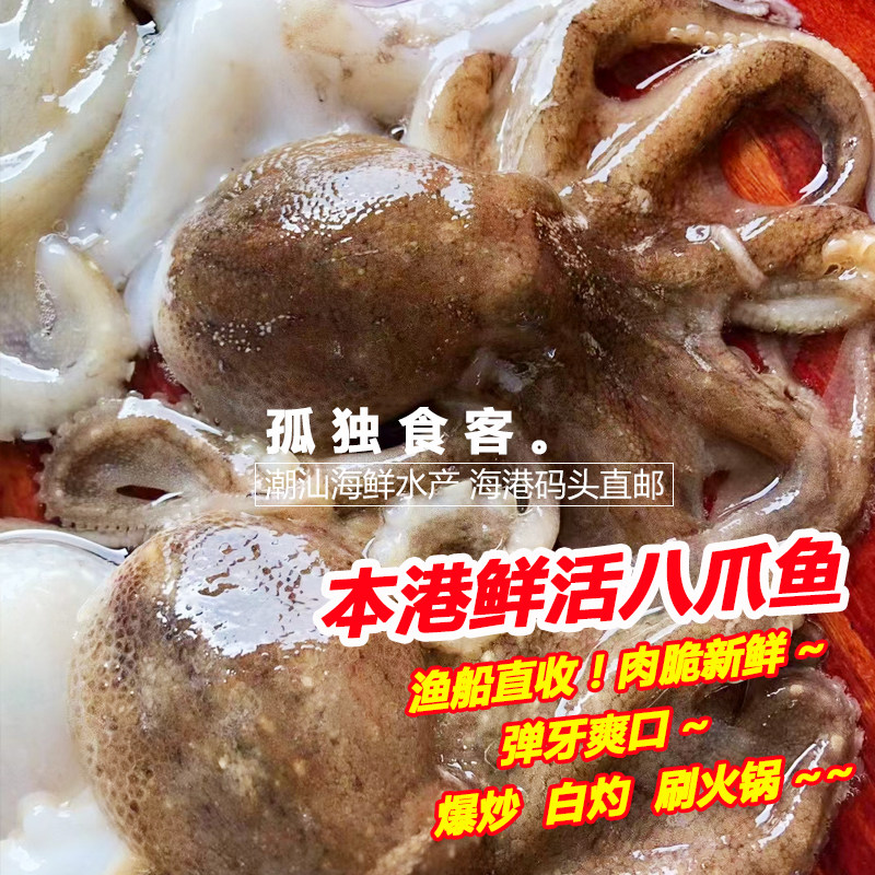 本港八爪鱼新鲜短腿大爆头鲜活冷冻有墨章鱼潮汕海鲜水产1斤