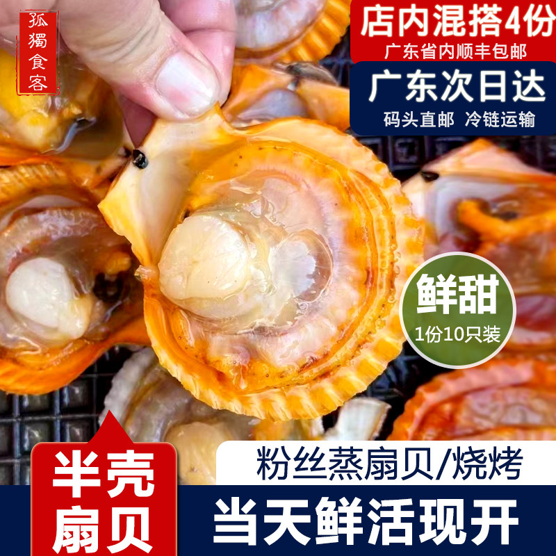 扇贝鲜活现开半壳小红贝新鲜冷冻海鲜水产肉贝类带壳烧烤食材10粒