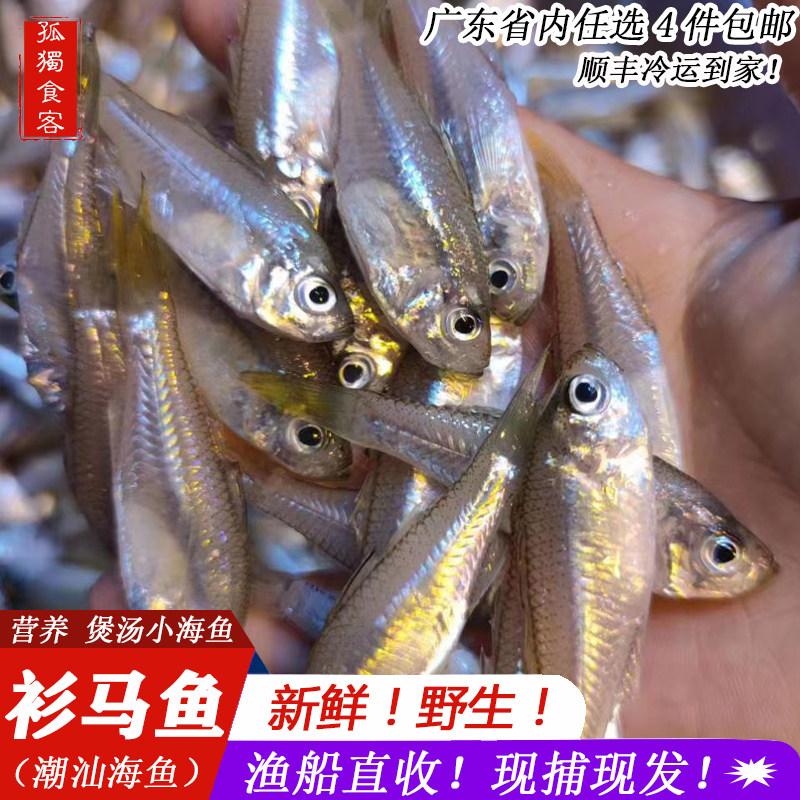 海捕海鲜新鲜潮汕月子鱼煲汤鲜甜衫亚鱼杉亚鱼汤衫马鱼小海鱼500g