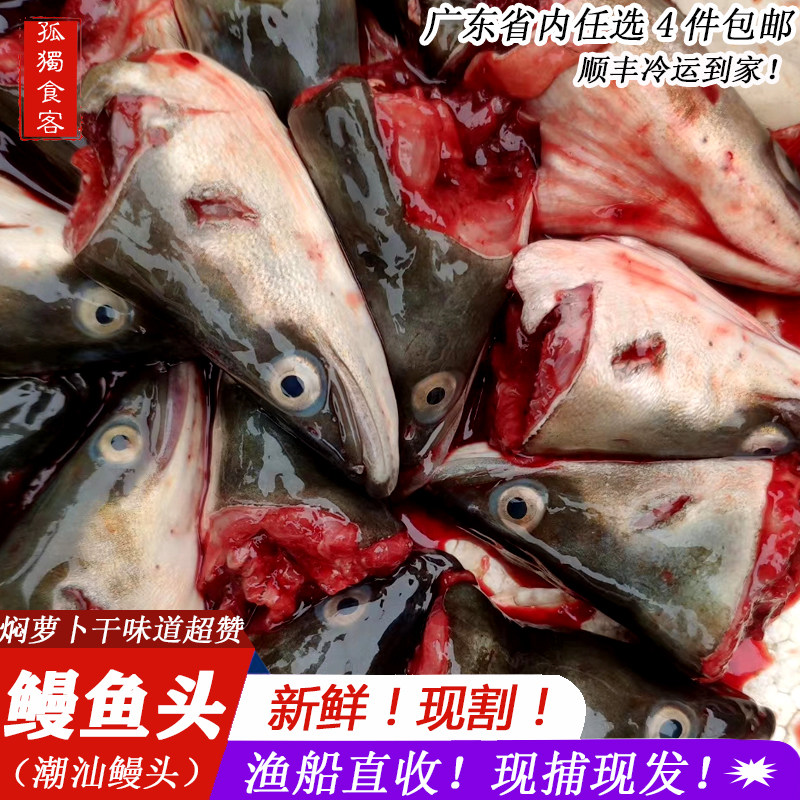 漫鱼头潮汕特产新鲜海鲜乌耳鳗鱼白鳝头河鳗头漫鱼头黑鳗鱼头1斤