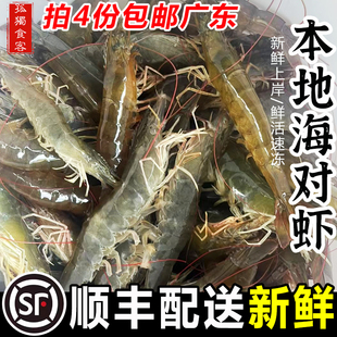 本地大对虾1斤 新鲜鲜活冷冻潮汕海鲜水产大海虾青虾明虾白刺虾