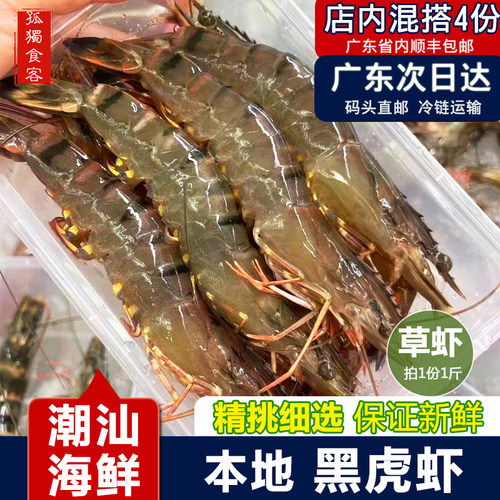 潮州大草虾 大黑虎虾 新鲜活冻斑九节虾潮汕海鲜水产大虾花虾