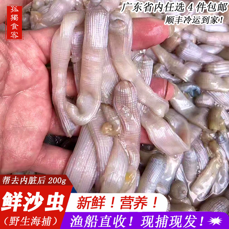 海肠新鲜皮沙虫处理后250g鲜活现挖海鲜水产新鲜海肠子鲜活沙虫