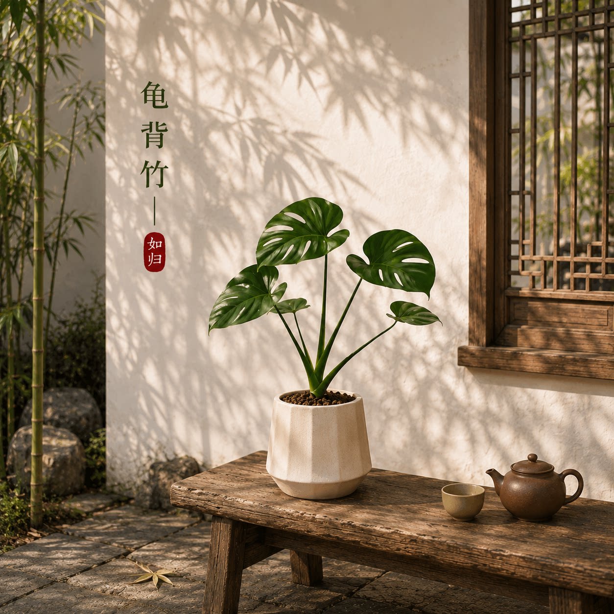 龟背竹盆栽办公室内桌面绿植摆件客厅装饰北欧ins高级感观叶植物图片