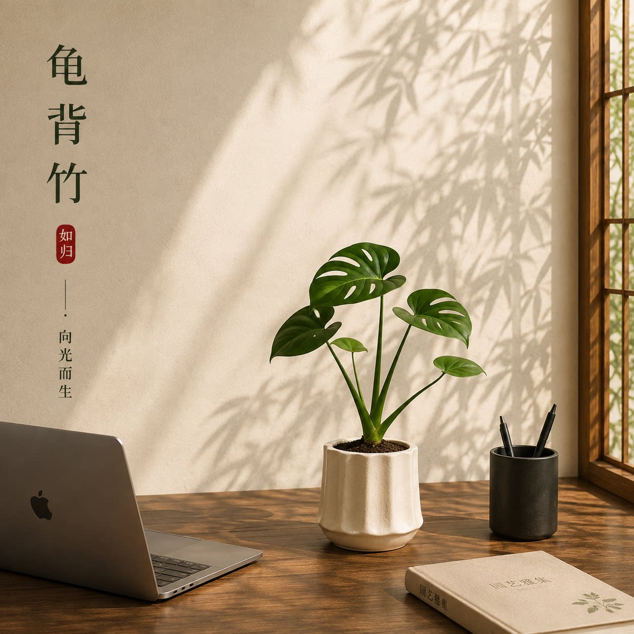 龟背竹盆栽办公室内桌面绿植摆件客厅装饰北欧ins高级感观叶植物图片
