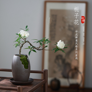 浓香悬崖小叶栀子花植物室内好养办公室桌面窗台开花绿植四季盆栽