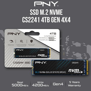 4TB CS2241 M280CS2241 SSD Gen4 Nvme 固态硬盘 必恩威PNY