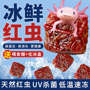 红虫冰冻红线虫六角恐龙鱼粮食丰年虾锦鲤鱼粮兰寿专用观赏鱼饲料