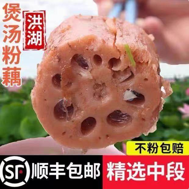 顺丰包邮湖北洪湖莲藕新鲜现挖现发正宗粉糯红藕带泥打冰冷链保鲜