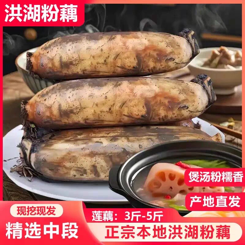 顺丰包邮湖北特产洪湖粉藕