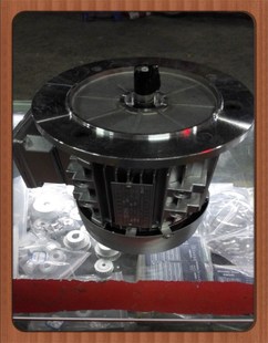 250W 立式 三相异步电动机 铝壳电机 7114 轴径14 380V YSE2