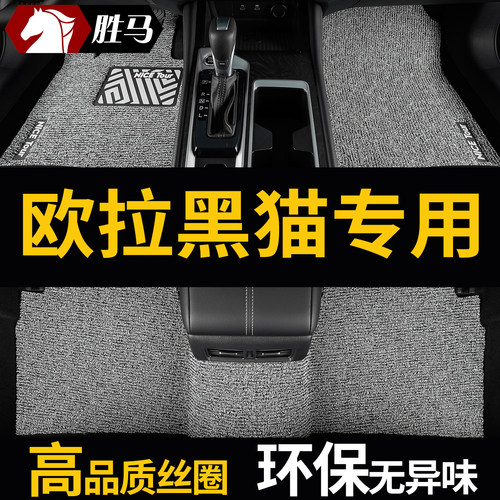 欧拉黑猫长城欧拉r1汽车脚垫地垫