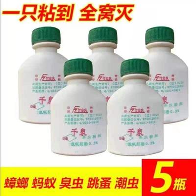 虱子跳蚤花虫灭蟑螂蚂蚁