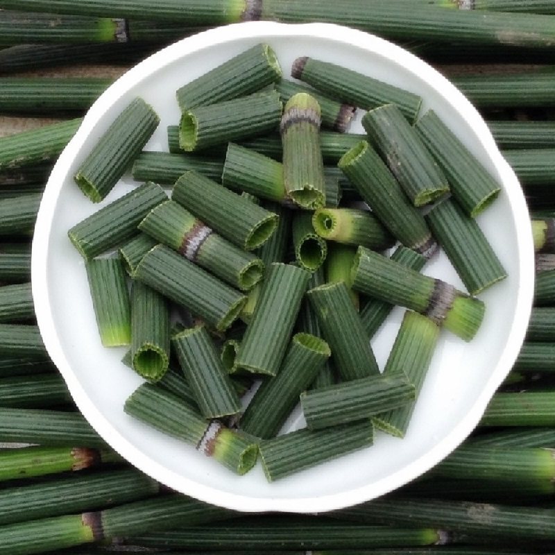 正宗野生木贼草切段晒干新货节节草节骨笔筒草可打磨500克中药材