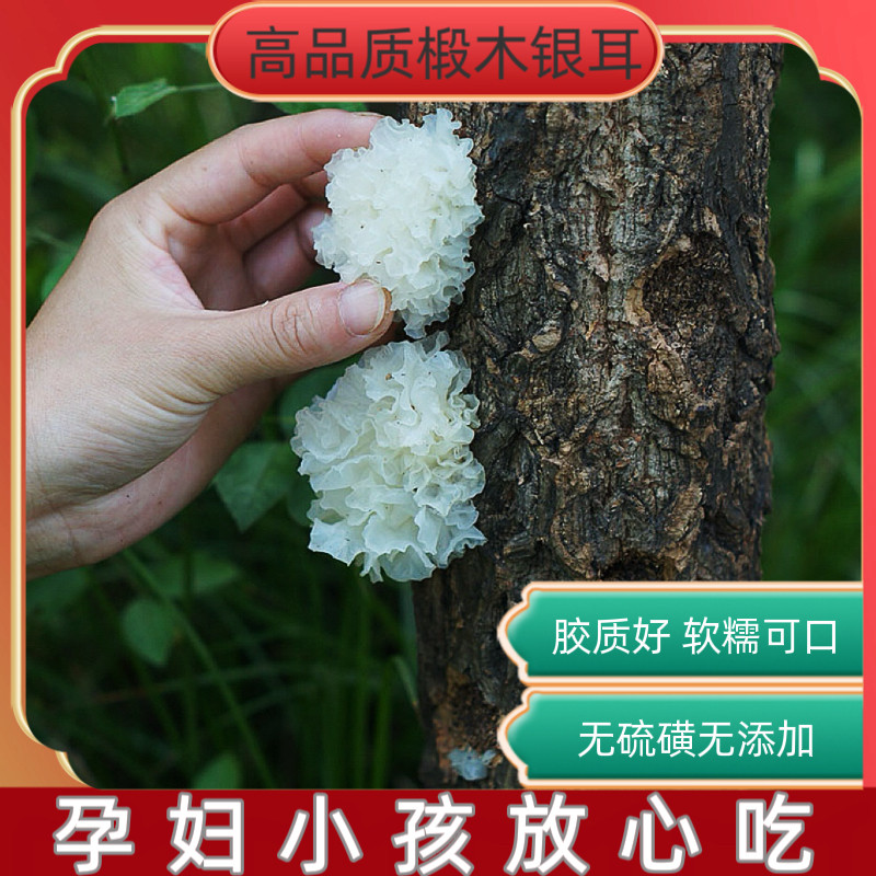神农架无根椴木野生小银耳孕妇宝银耳/冻干银耳及银耳
