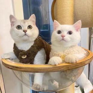 猫咪衣服批发保暖羊羔毛马甲背心布偶蓝猫幼猫宠物冬装小猫加绒款