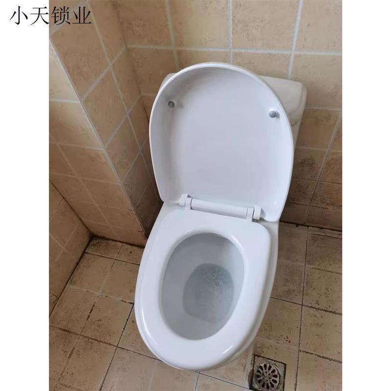 马桶圈适配樱花蓝蒙娜丽莎马桶盖健马桶盖通用座便盖家用UV型老.