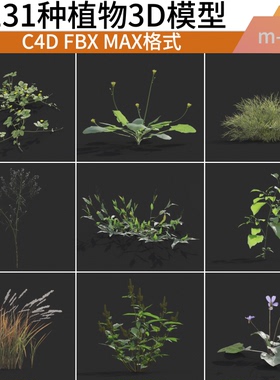 130种3D植物模型素材花草灌木c4d/max/blender/等
