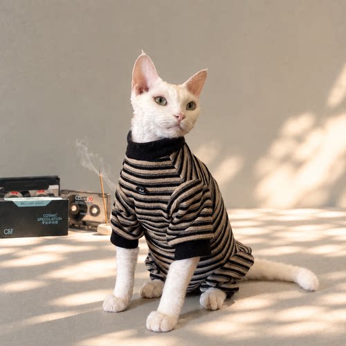 秋冬无毛猫加厚护肚四腿卫衣
