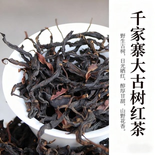 千家寨野生古树红茶2025春茶云南无量山大叶古树茶野茶散茶晒红茶