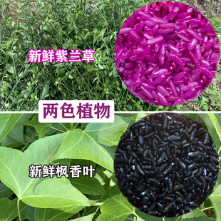 五色糯米饭植物染料广西糯米饭植物染料贵州五彩糯米饭紫红蓝绿黑