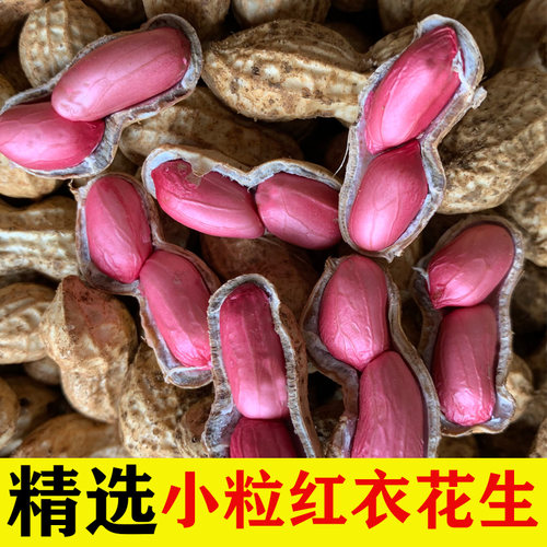 新鲜带泥带壳湿花生红皮
