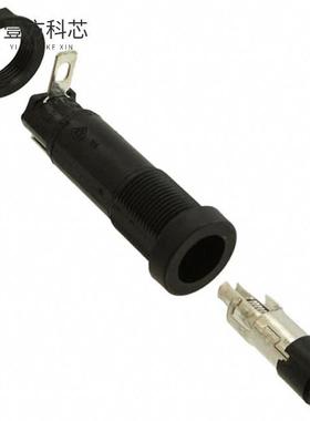 原厂原装03455LS1H FUSE HLDR CART 250V 10A PNL