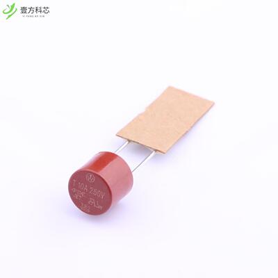 原厂原装38221000000 10A 250V 延时型全新正品
