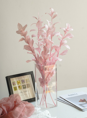 进口永生花桔叶永生桔子叶干花花束家居婚庆装饰DIY花艺客厅装饰