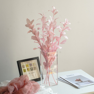 进口永生花桔叶永生桔子叶干花花束家居婚庆装饰DIY花艺客厅装饰