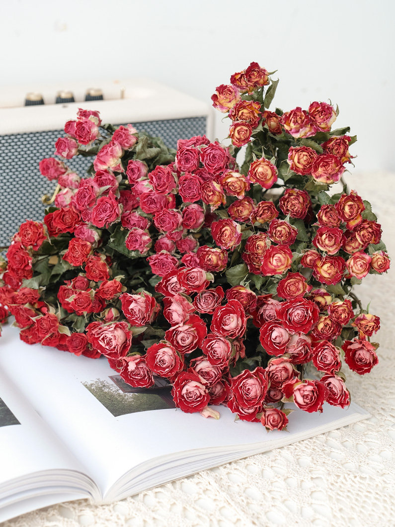 云南多头玫瑰泡泡蔷薇干花家居装饰摆件插花滴胶花材野餐花束礼物