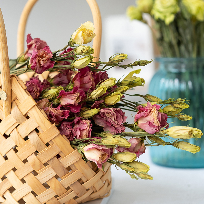 洋桔梗北欧装饰玫瑰真花干花花束ins客厅家居装饰diy插花拍摄道具