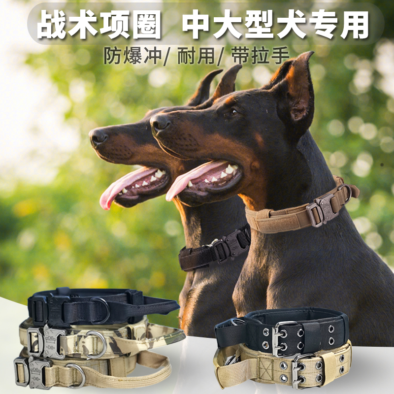 狗战术项圈中大型犬防爆冲牵引绳